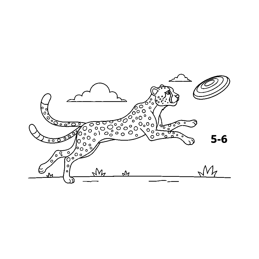 Sprinting Cheetah Chasing a Frisbee