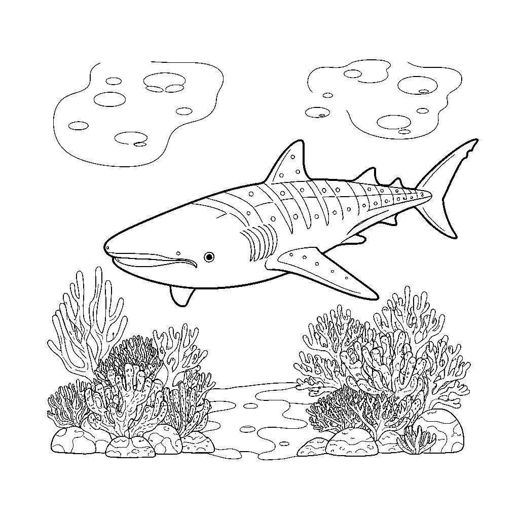 Whale Shark and Colorful Coral